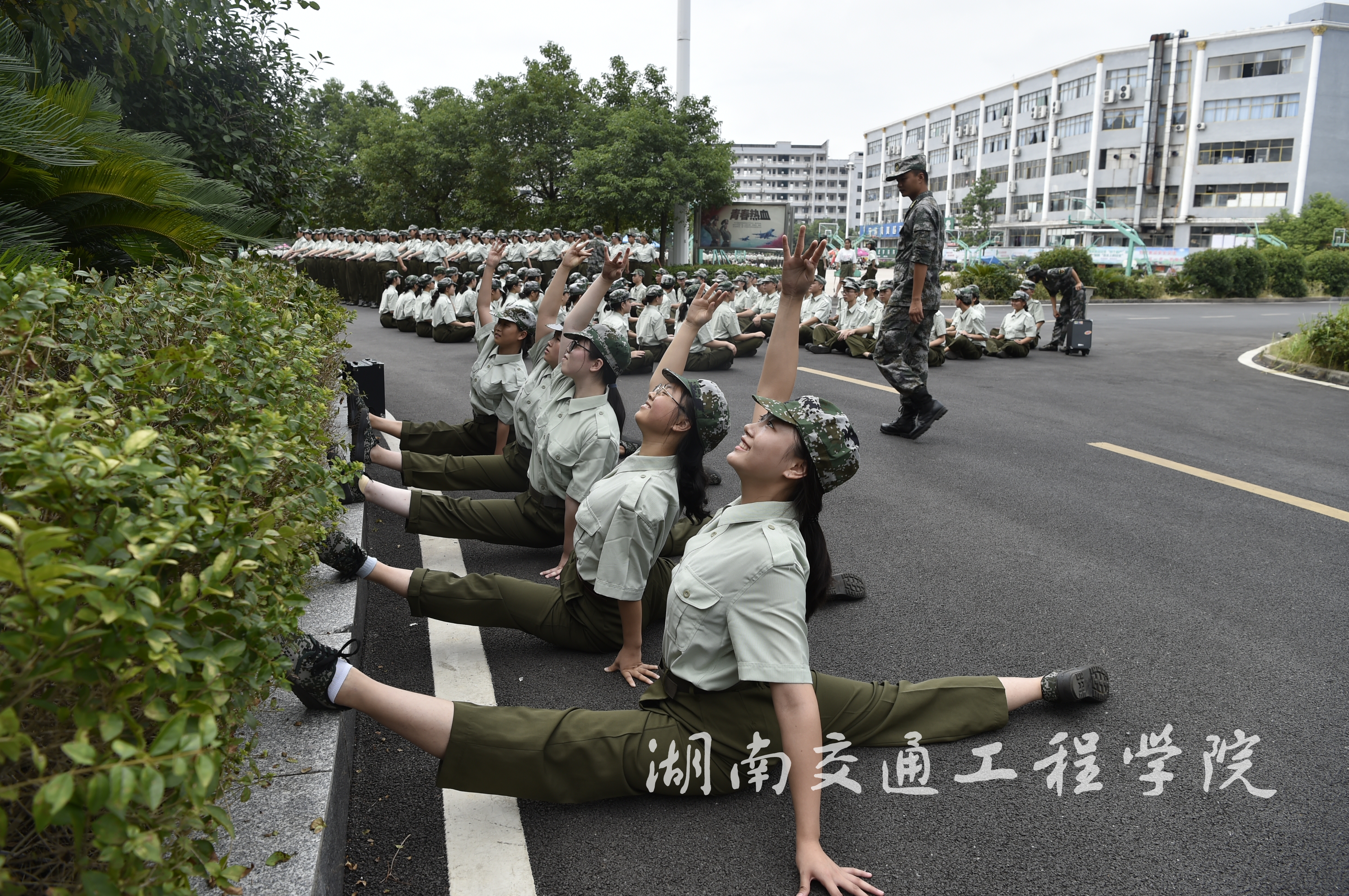 _DSC5132.JPG _DSC5132.JPG