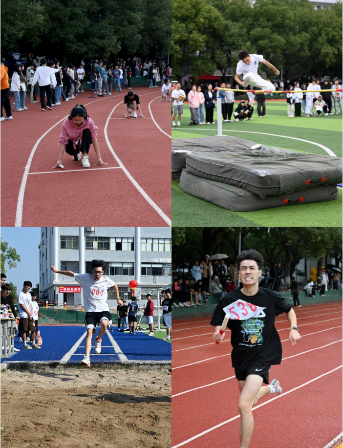 1697885354815.jpg 1697885354815.jpg