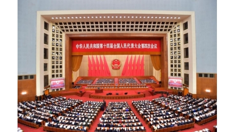 学思践悟  聚力前行：bevictor伟德师生热议2026年全国两会